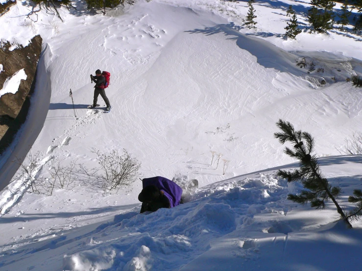 someone is skiing down a hill and some trees