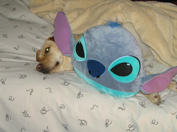 the dog is laying on the bed with a stuffed toy