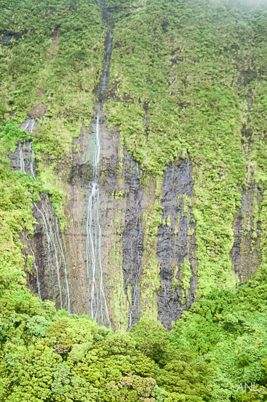 a lush green hillside covered in trees next to a waterfall