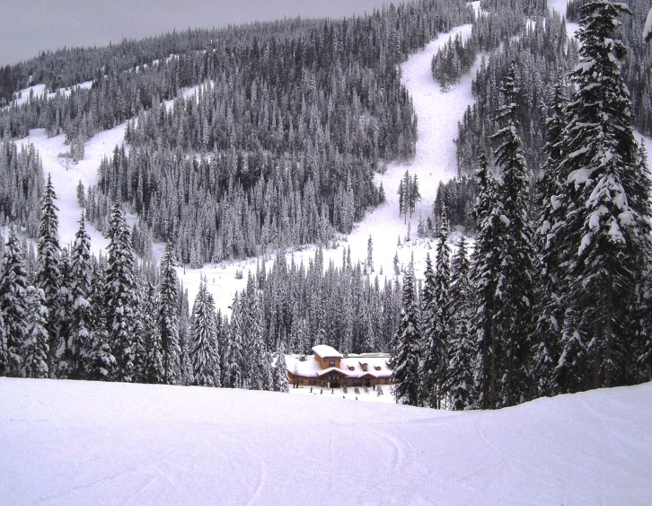 the cabin has been built with a ski lift