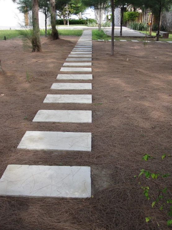 a line of stepping stone steps leads to a tree