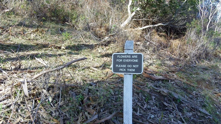 there is a black and white sign on a post