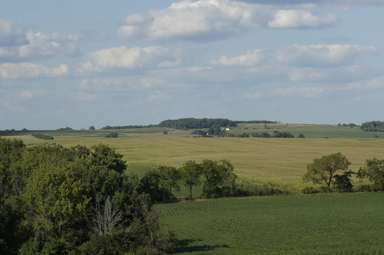 a large open green field with trees on both sides