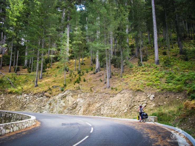 a guy on his bike waits on the side of the road in front of a forrest