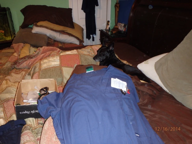 the black dog lays on the bed by himself