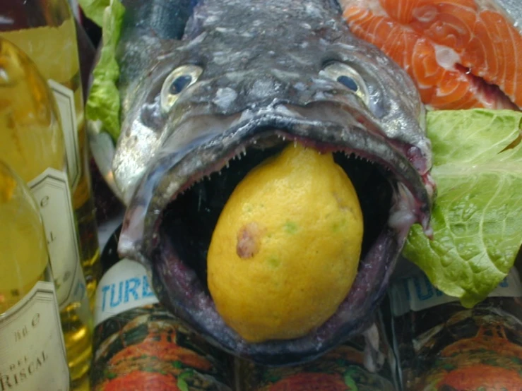 an odd looking fish with it's mouth open by some fish food