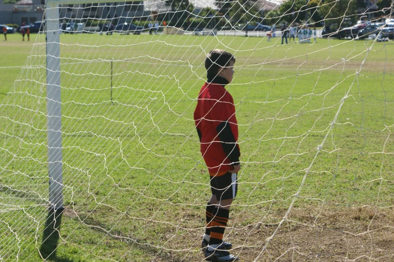 a little boy standing next to a soccer net in a green field