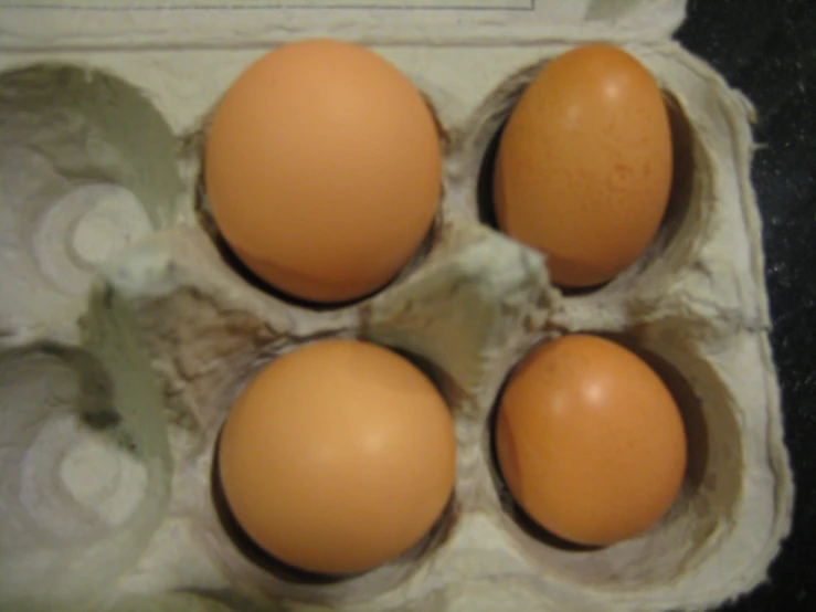 four eggs in an egg box with the lids down