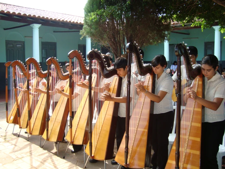 harp students learning with musical instruments on a sunny day