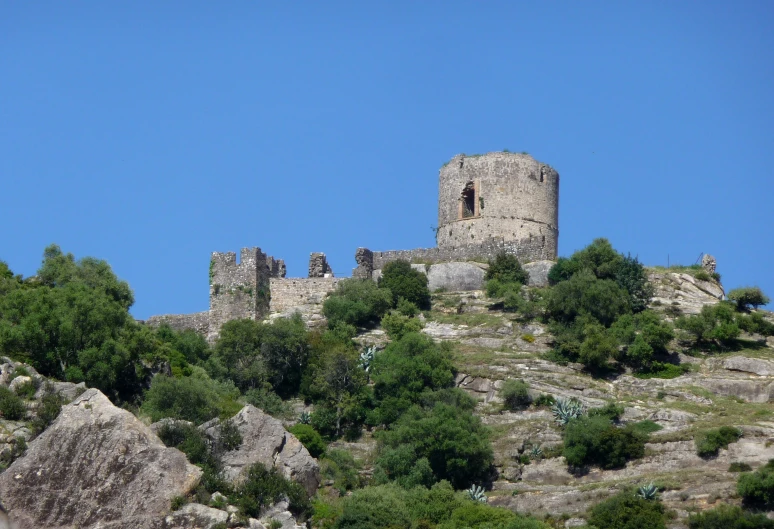a large, gray castle sits high on a hill with trees on it