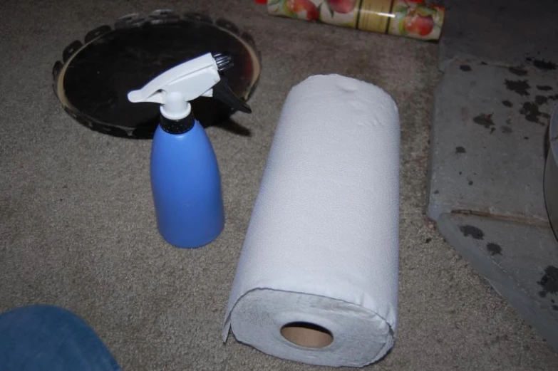 a roll of toilet paper next to a blue object