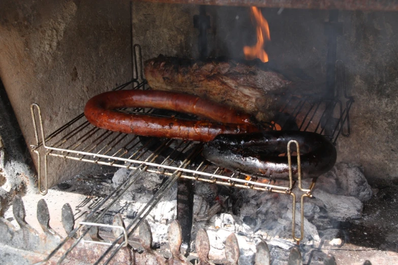 a  dog and  dog on a charcoal grill