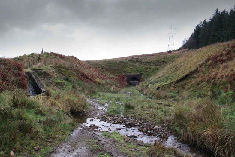 a muddy trail running through the middle of a field