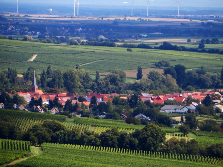 a small town surrounded by green field and windmills