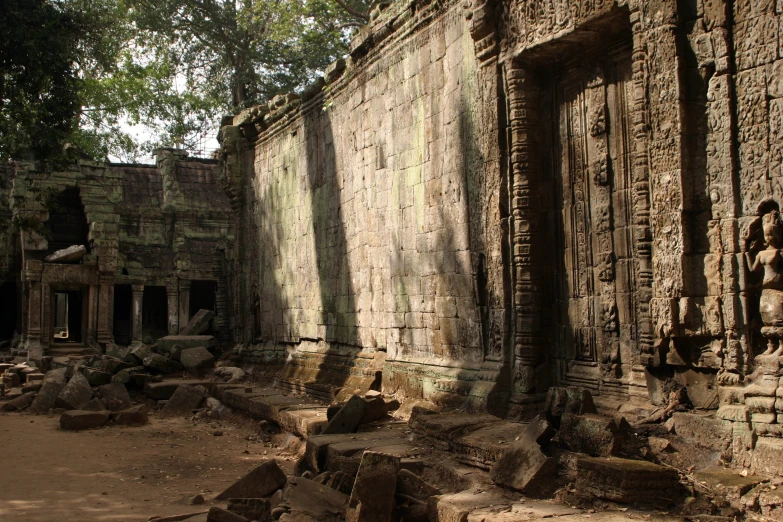 ruins with trees and stone walls inside of a building