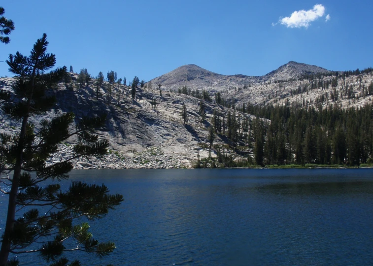 the mountains are covered in pine tree tops