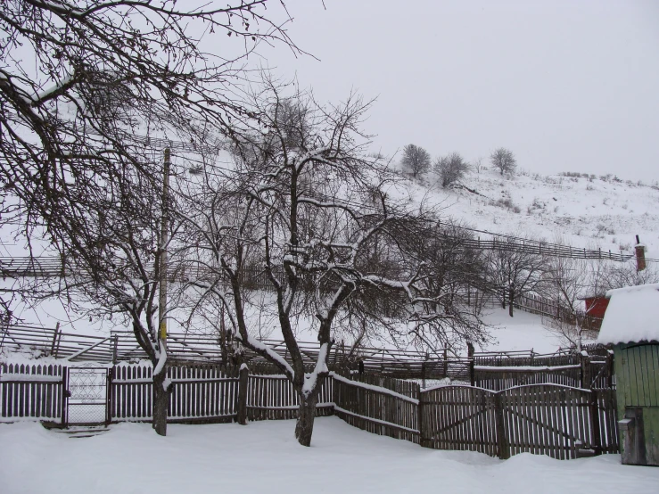 a house and a tree covered in snow