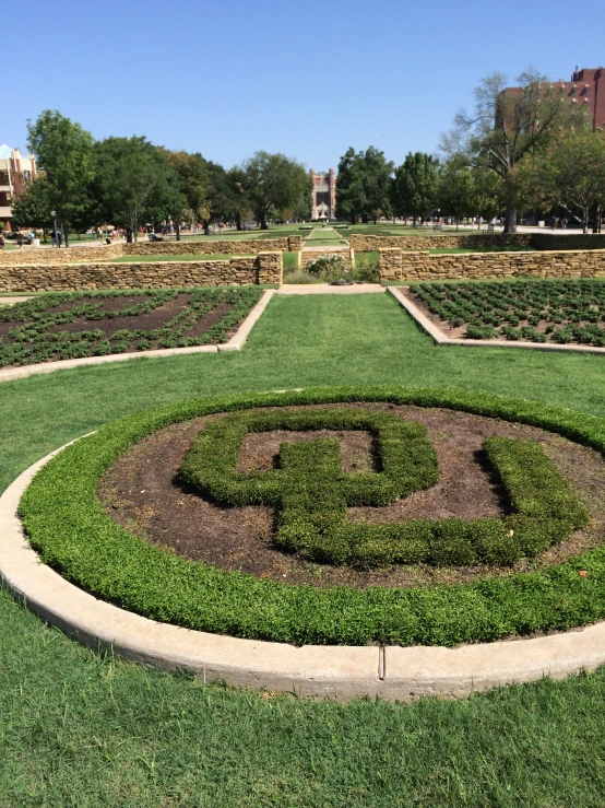 green grass and hedges in a circular garden