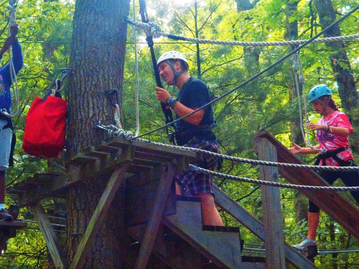 a couple of people standing on a tree top