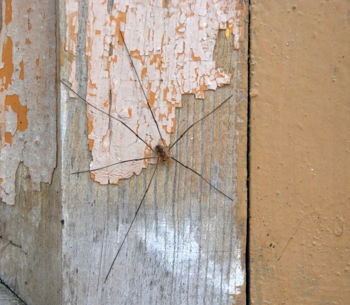 a broken and peeling surface of an old building