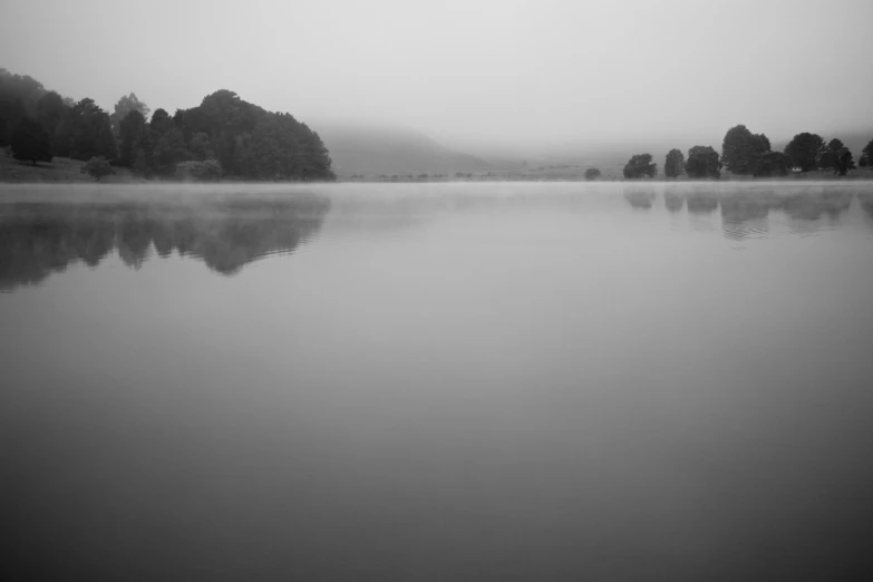 a foggy lake sitting near trees and bushes