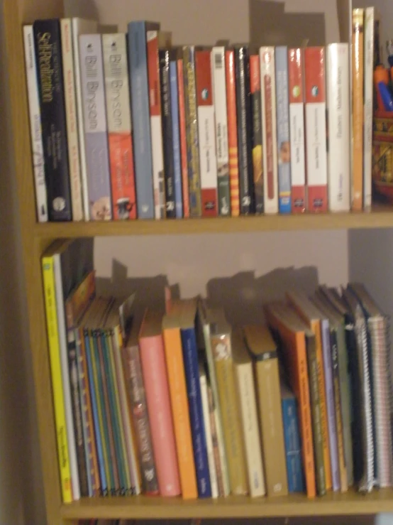 a book shelf full of books and a cat