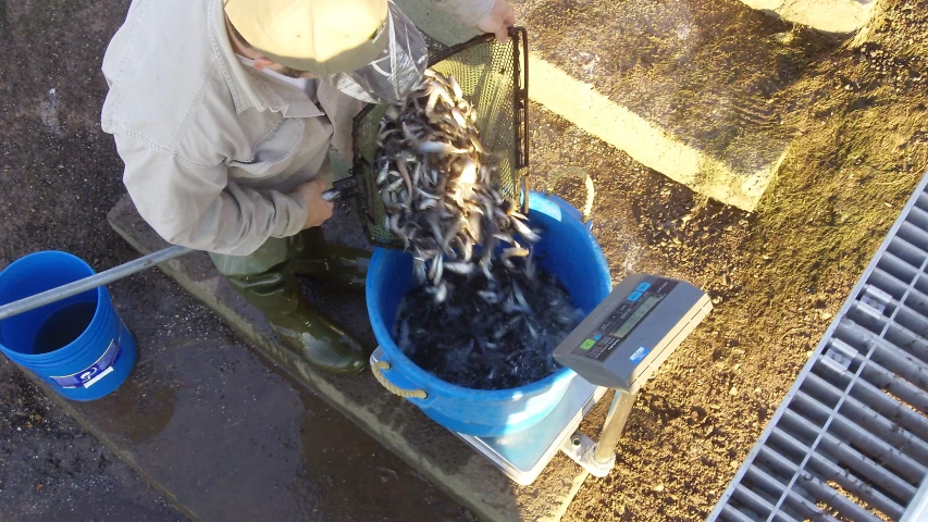 a person washing up the plants in the yard