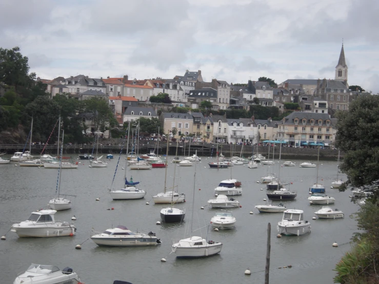 small white boats in a large body of water