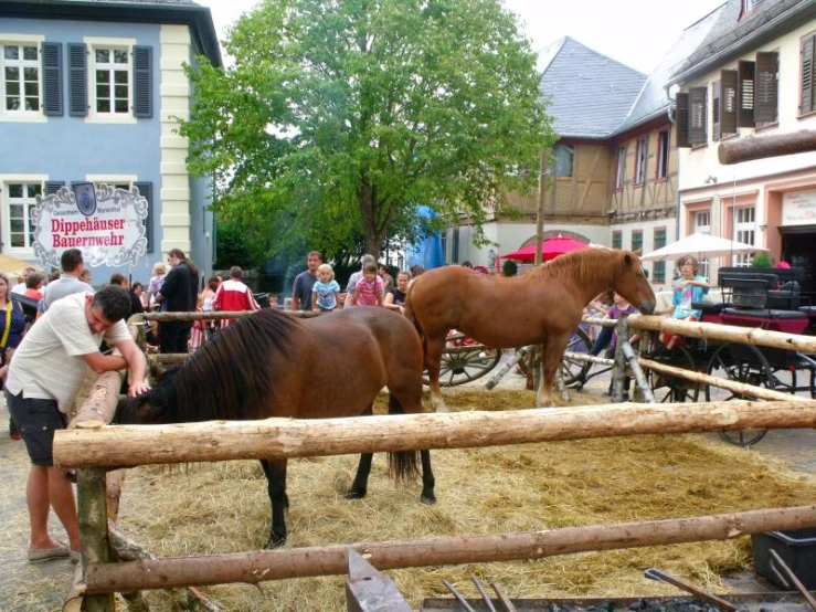 two horses in an old - fashioned city pin