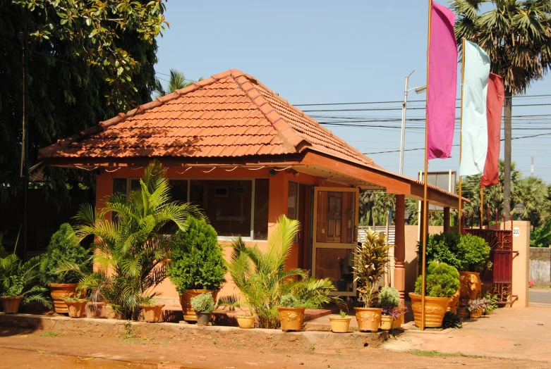 an old house sitting beside a palm tree filled street