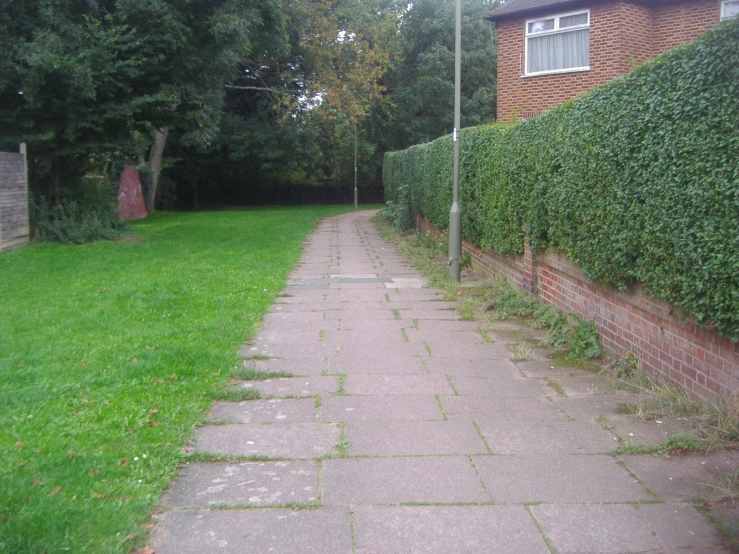 a paved pathway in front of some bushes and bushes