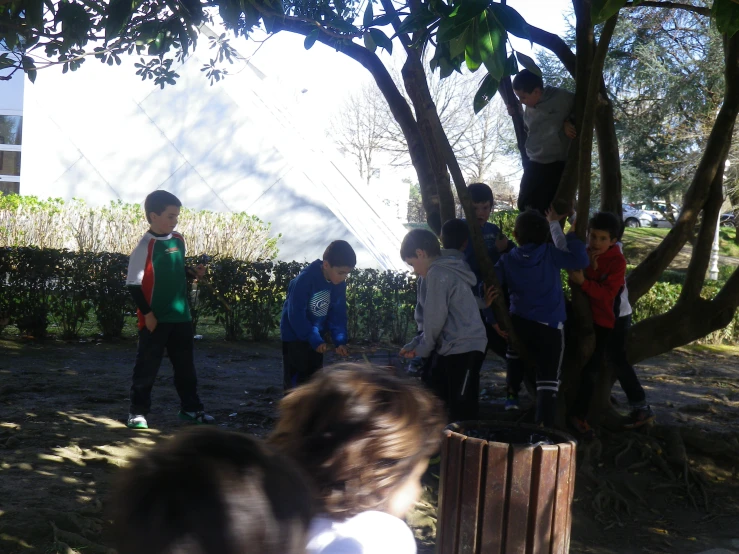 small group of children playing in front of tree