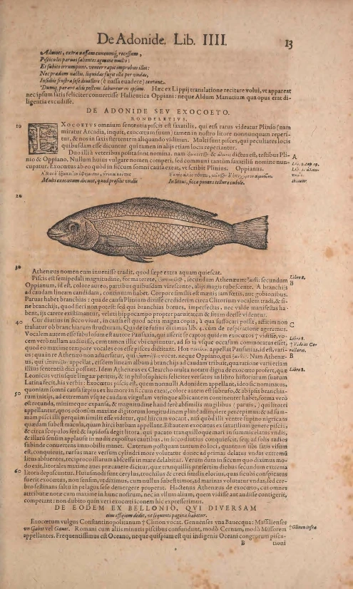 a page with writing and an image of a fish