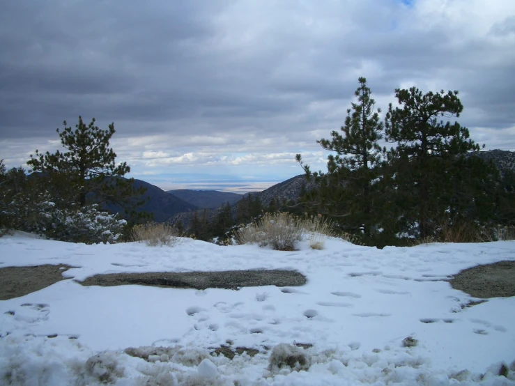 snowy landscape with a bench sitting in front of it