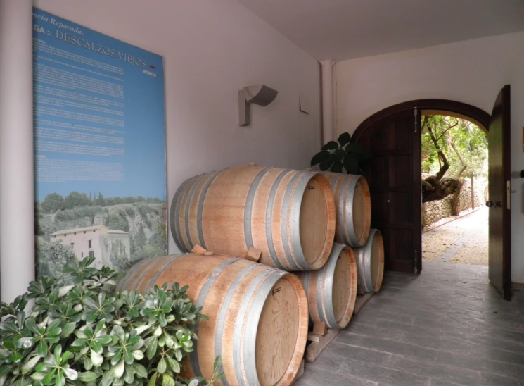 many wine barrels are lined up near the entrance