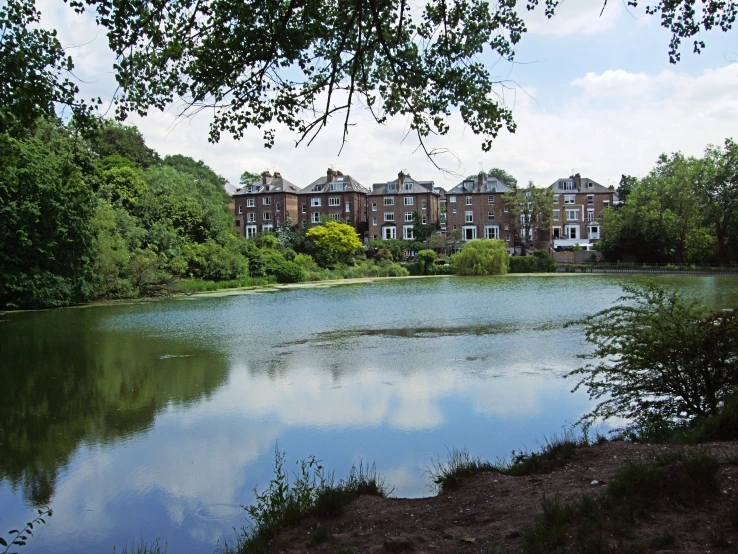 a view of a pond, trees and apartment buildings