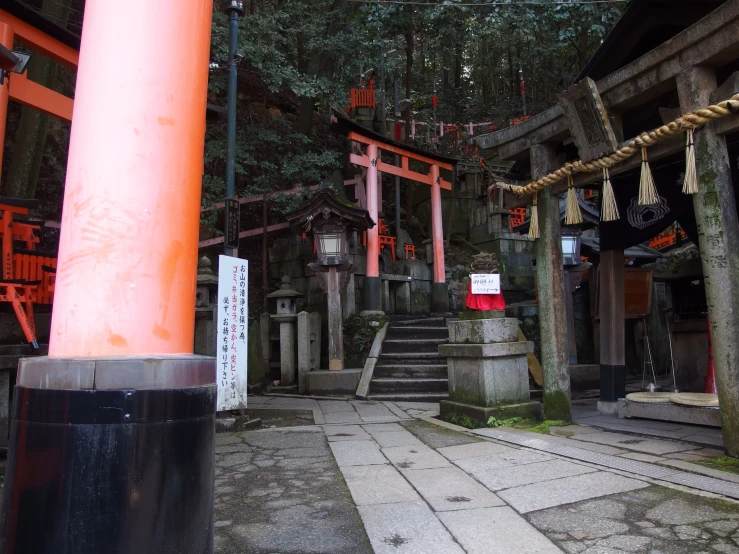 an outdoor courtyard in the middle of a forest