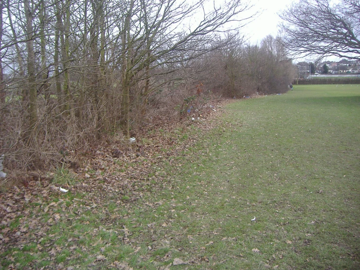 a grass field with trees behind it and another land in the distance