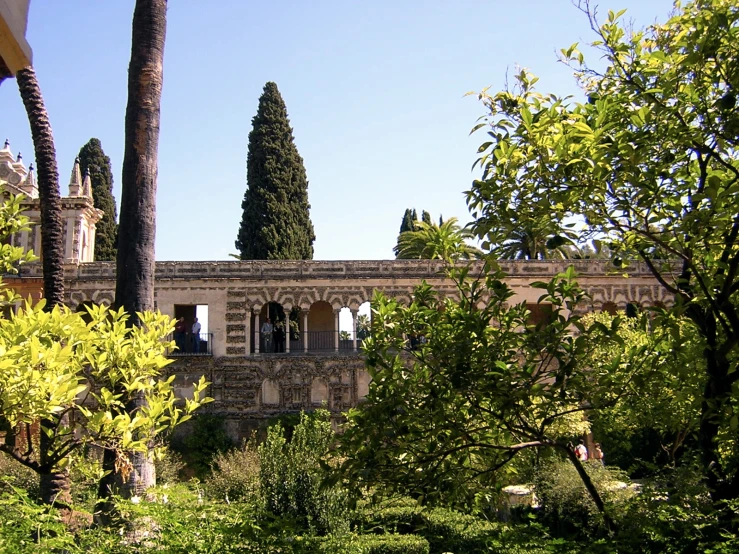 trees surround a building near a path of a courtyard