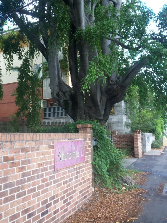 there is a large tree near a red brick wall