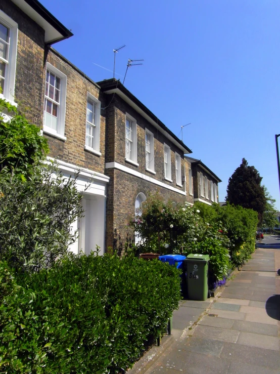 a row of town houses with several plants near the front