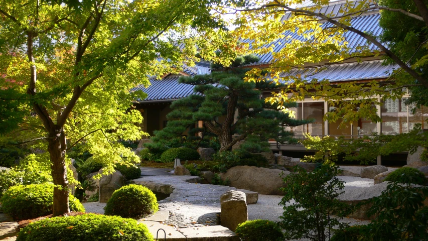 a stone garden features a pond, trees and rocks