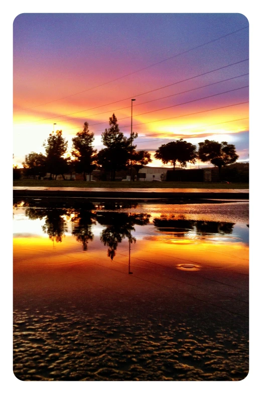 a large body of water at sunset with trees in the background