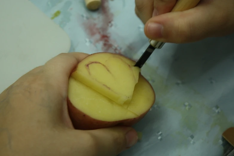 someone carving some apple slices with an older one