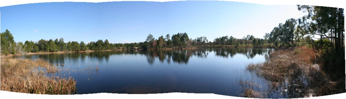 a mirror image of a lake with water and trees