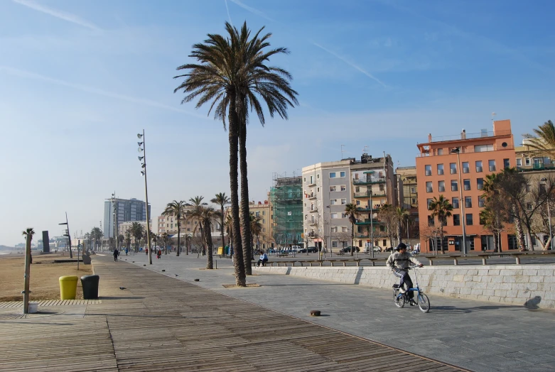 a city street with palm trees on both sides of the sidewalk