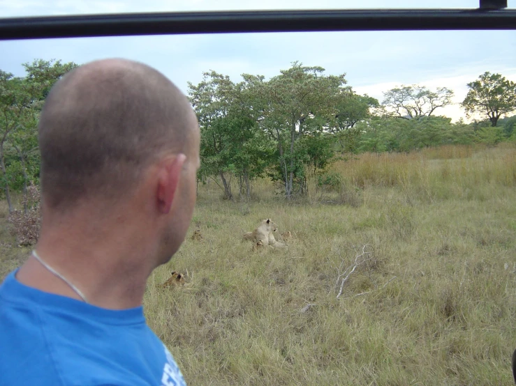 the back end of a man's head and looking at a large, grass area with animals