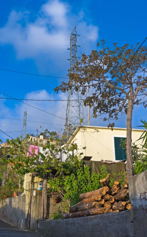 a few trees outside in front of an antenna