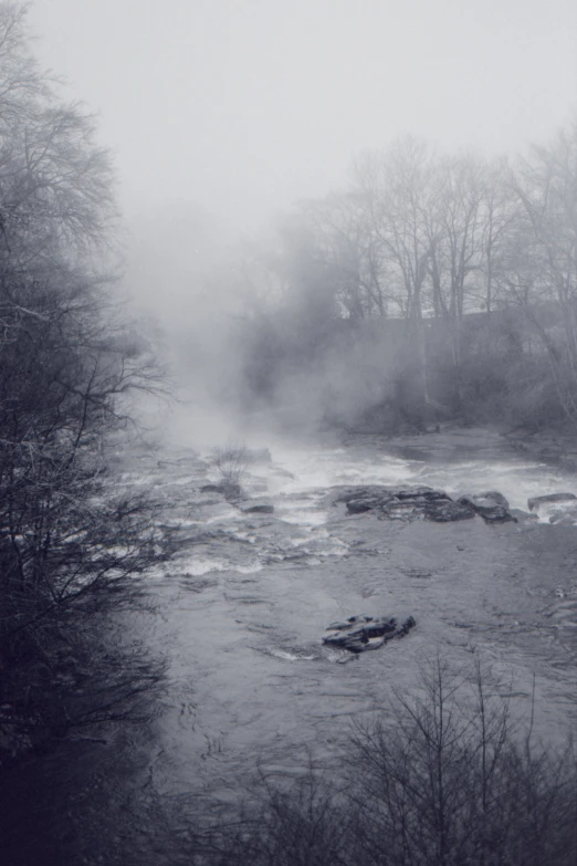 a small river flowing through a forest with trees on the other side