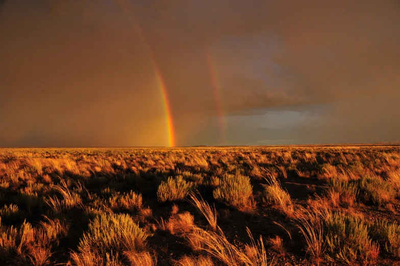 two rainbows are over a grassy area on a sunny day